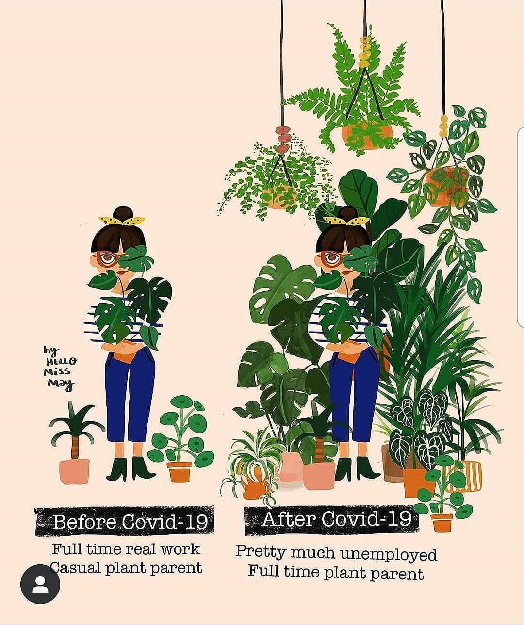 /media/content/2/before-after-covid-plant-meme.jpg